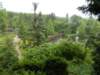 dscn1785_small.jpg