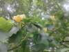 _095439_small.jpg