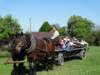 dsc00050_small.jpg