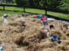 dsc00103_small.jpg
