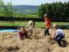 dsc00122_small.jpg