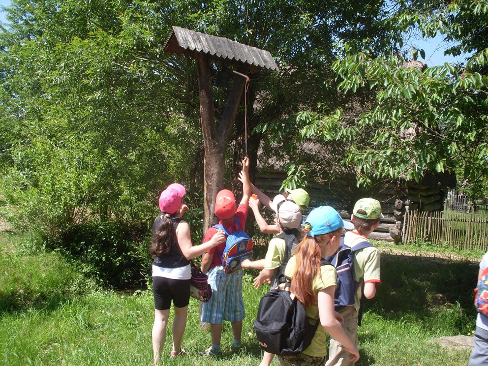 sdc10585.jpg