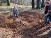 dscn3761_small.jpg