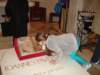 dsc05944_small.jpg