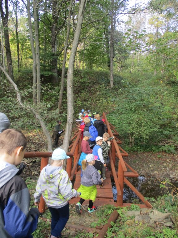 img_0247.jpg