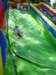 sl270041_small.jpg