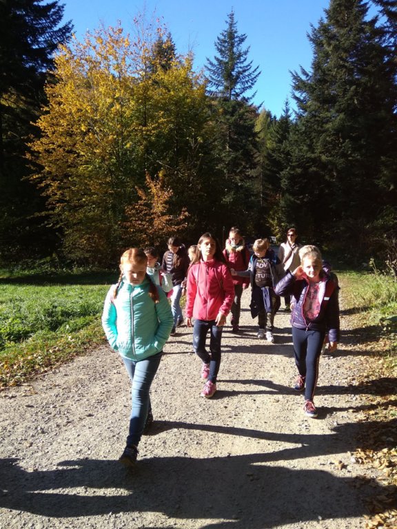 img_20181010_093831.jpg