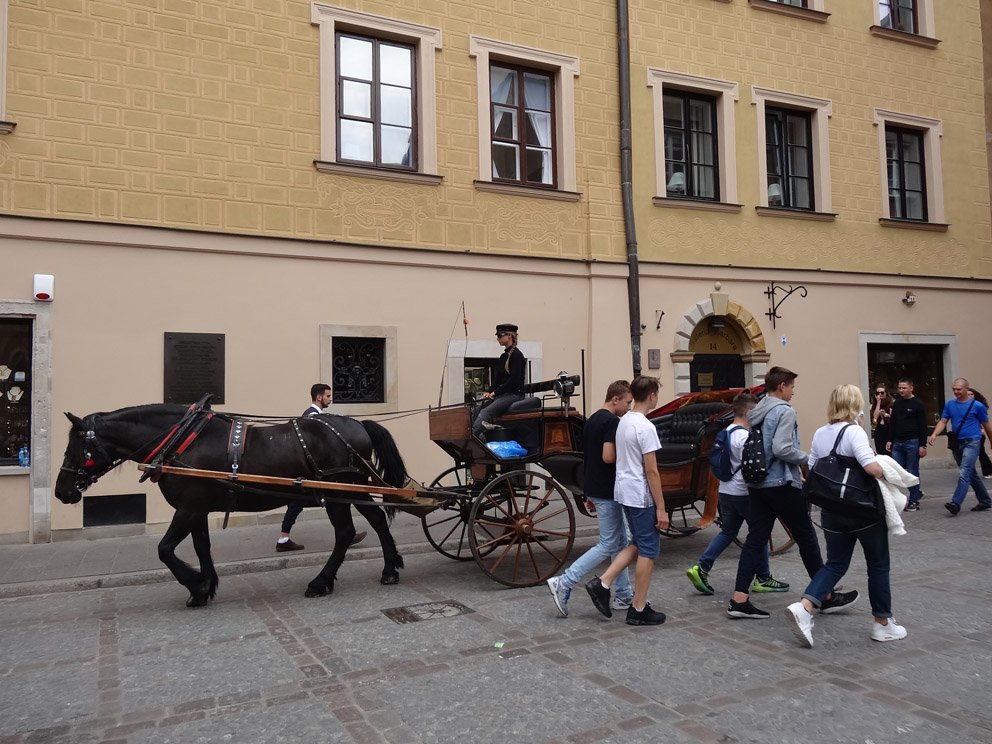 dsc08079.jpg