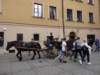 dsc08079_small.jpg
