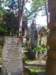 dsc_0427_small.jpg