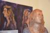 dsc_0371_small.jpg