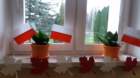 _103605_small.jpg
