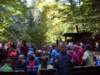 sdc12674_small.jpg