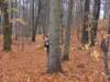 dscf7033_small.jpg