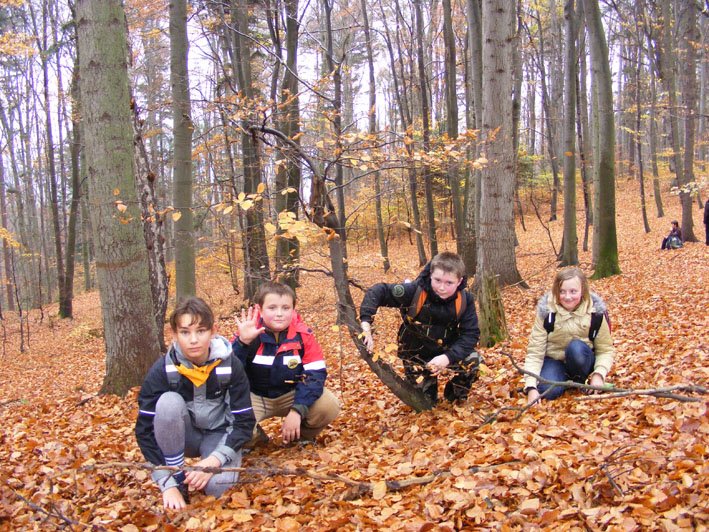 dscf7037.jpg