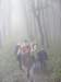 cergowa2010048_small.jpg