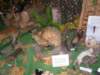 p9200029_small.jpg
