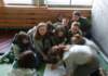 dsc04579_small.jpg