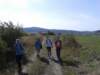 _110518_small.jpg