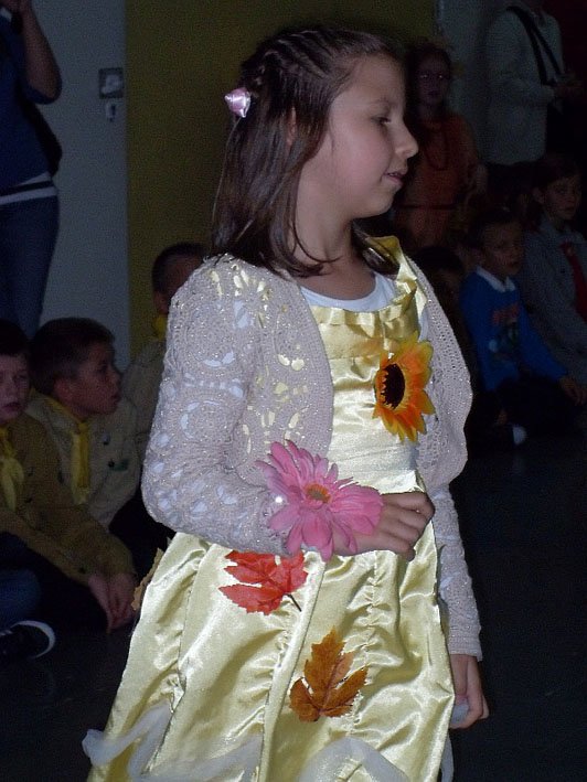 sdc12013.jpg