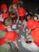 sdc12025_small.jpg