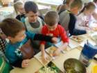 dsc08528_small.jpg