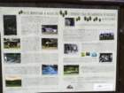 img_20191004_130416_small.jpg