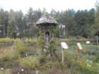 dscn0245_small.jpg