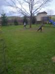 img_20220417_130929_small.jpg