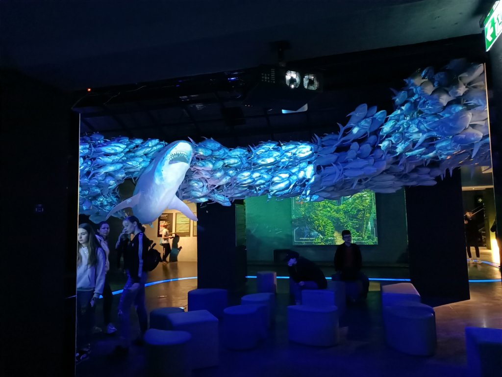 img20220602093005.jpg