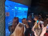 img20220602110928_small.jpg