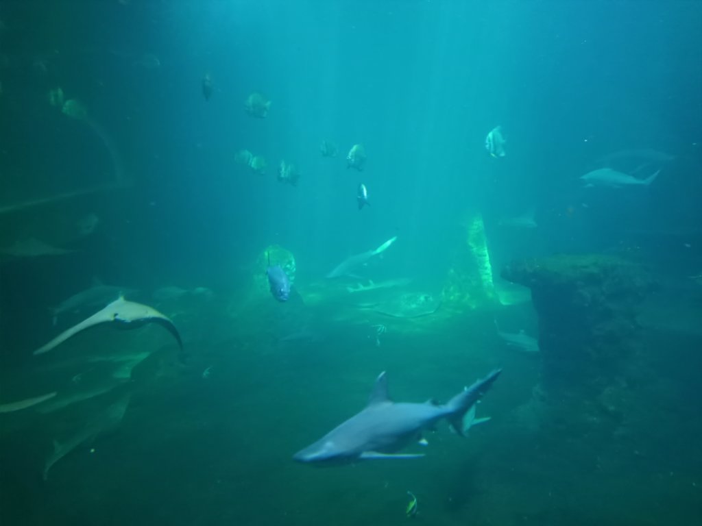 img20220602112841.jpg