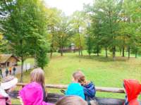 img_20210930_110438_small.jpg