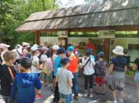 img_20220606_112430_small.jpg