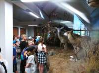 img_20220606_122245_small.jpg