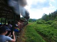 img_20220606_153754_small.jpg