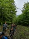 img_20220513_121355_small.jpg