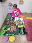img20211022wa0025_small.jpg