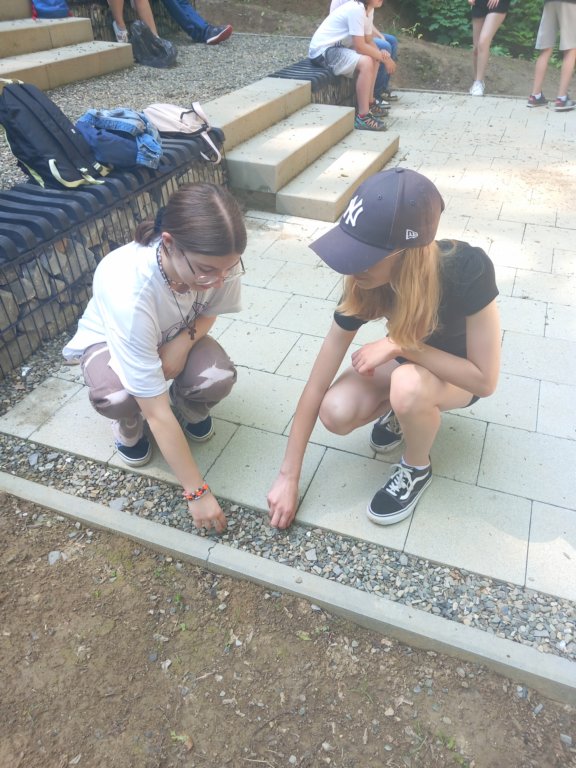 _095102.jpg