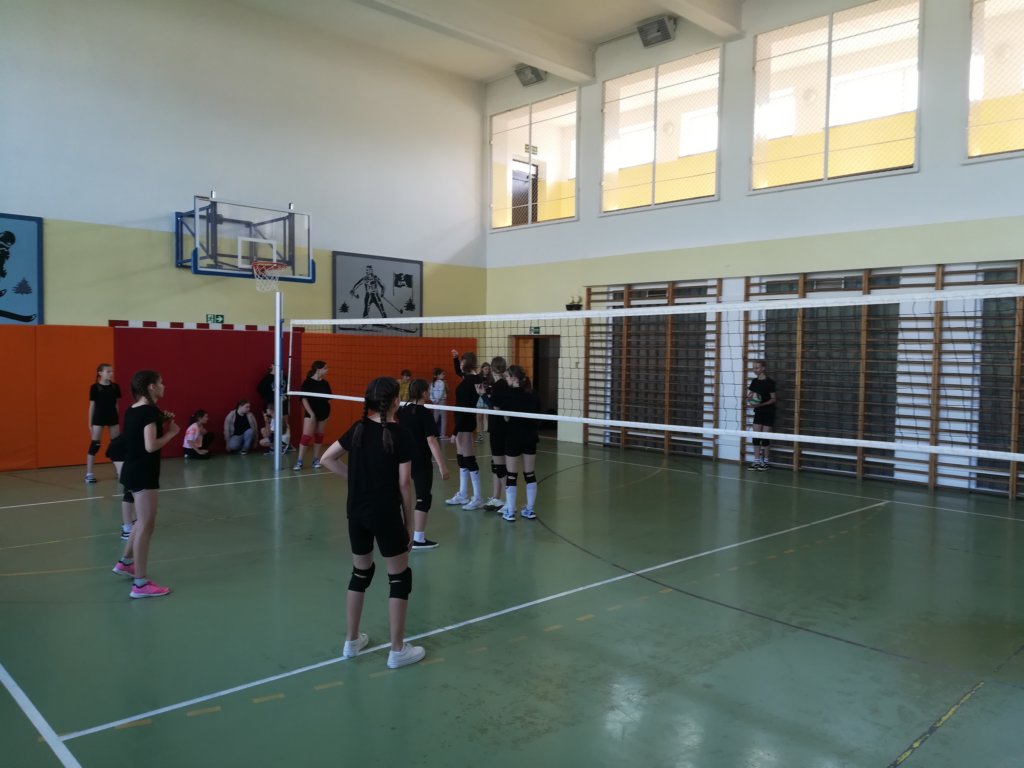 img_20230619_085130.jpg