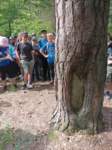 img_20230529_094207_small.jpg