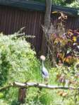 img_20230529_122756_small.jpg