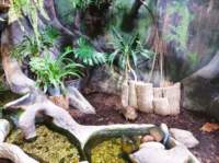 img_20230529_124524_small.jpg