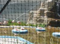 img_20230529_130138_small.jpg