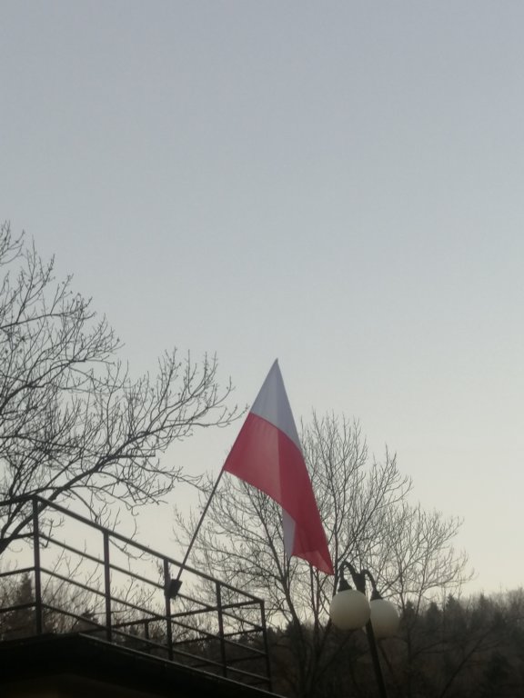 img_20221112_160029.jpg