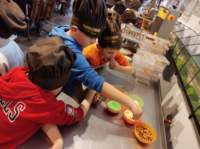 img_20230519_125702429_small.jpg