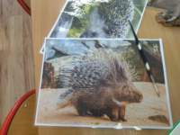 img_20221102_081559_small.jpg