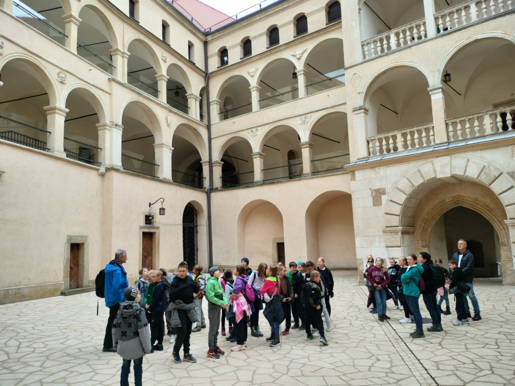 img20221024110117.jpg