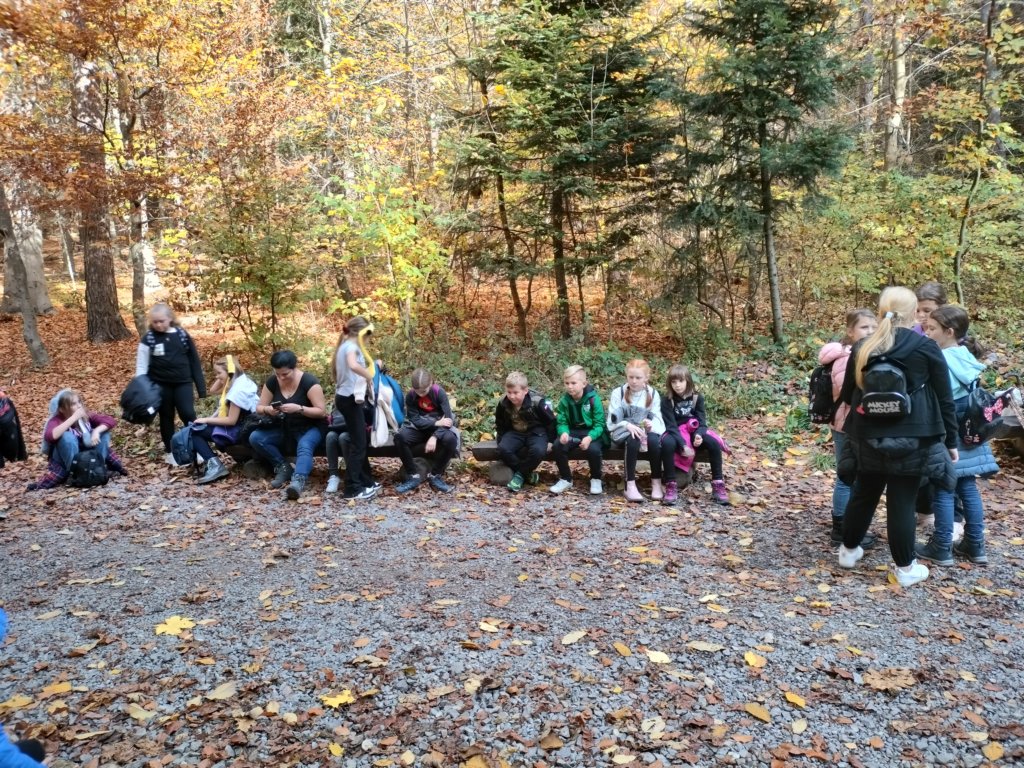 img20221024133105.jpg