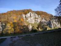 img20221024144822_small.jpg